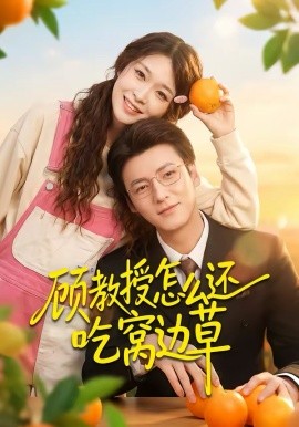 白鹿同款高马尾教程