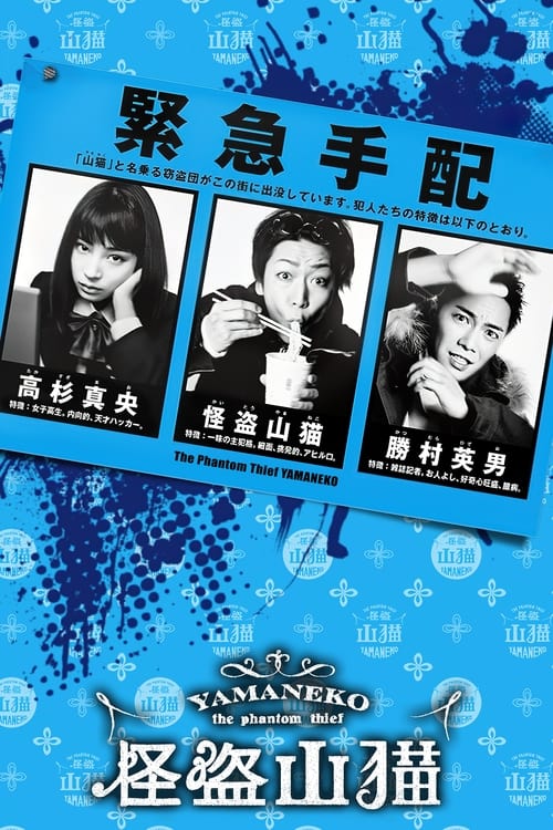 完美小姐进化论动画版