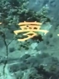 在线观看北京爱情故事