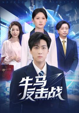 飞虎1