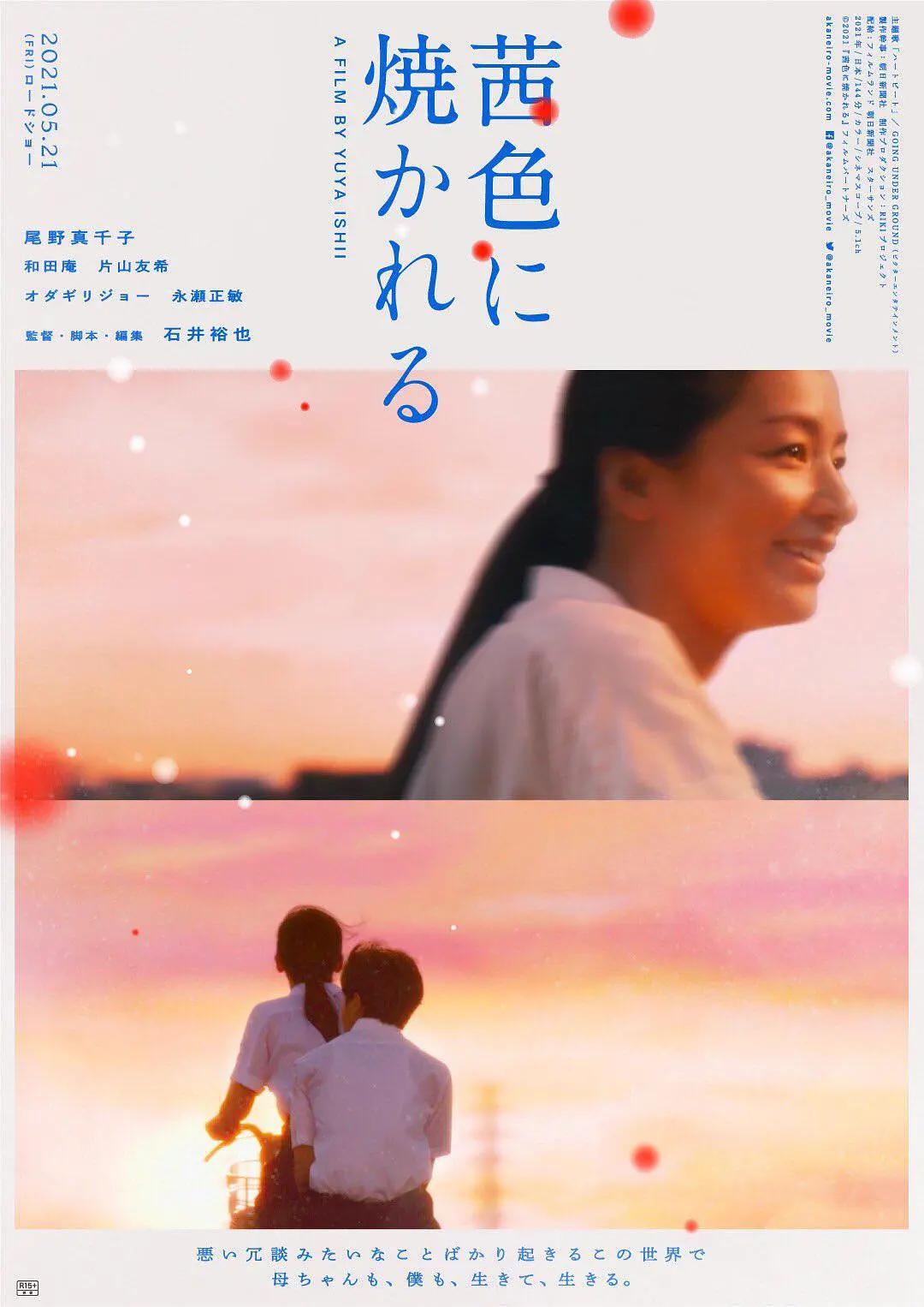 三个姑妈一个侄儿意大利剧
