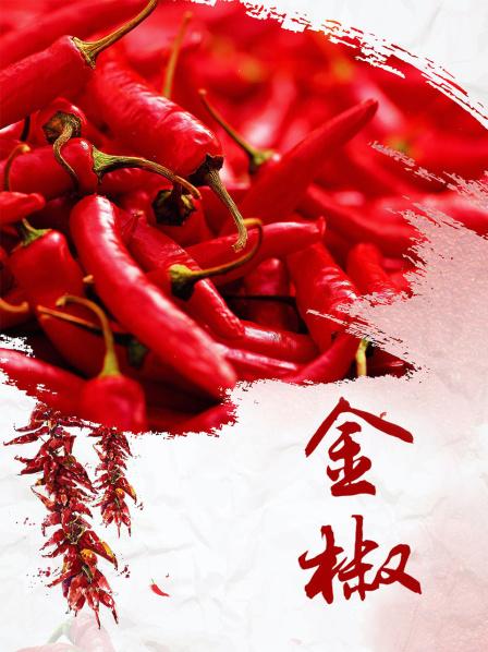 双飞娘俩国语版第11集